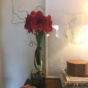 Meet your Posher, Marianne